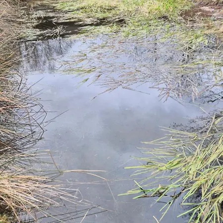 Au Calme, 7mn Des Pistes De Chalet *