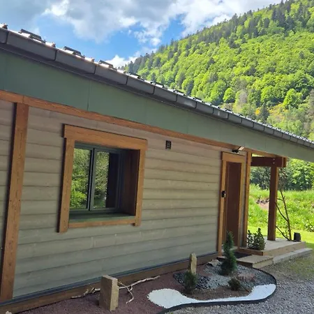 Au Calme, 7mn Des Pistes De * La Bresse