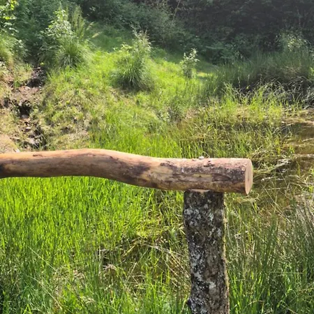 Au Calme, 7mn Des Pistes De * La Bresse