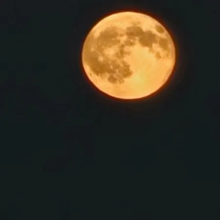 Chalet Au Calme, 7mn Des Pistes De