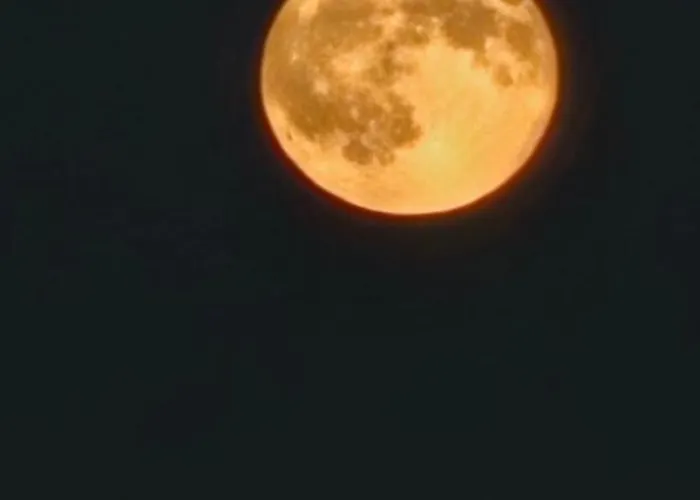 木屋 Au Calme, 7mn Des Pistes De